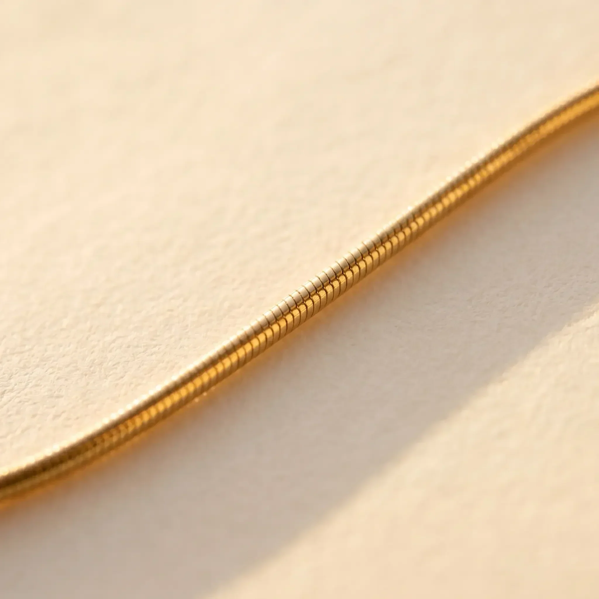 Dainty Snake Anklet - Image 4
